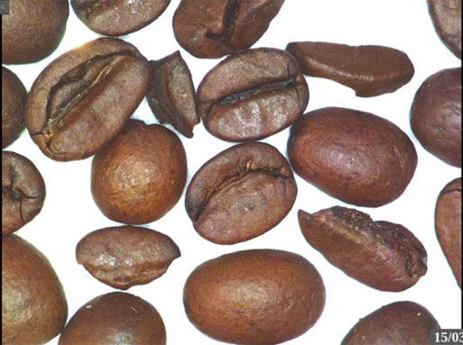 VE-Cam-coffee-beans